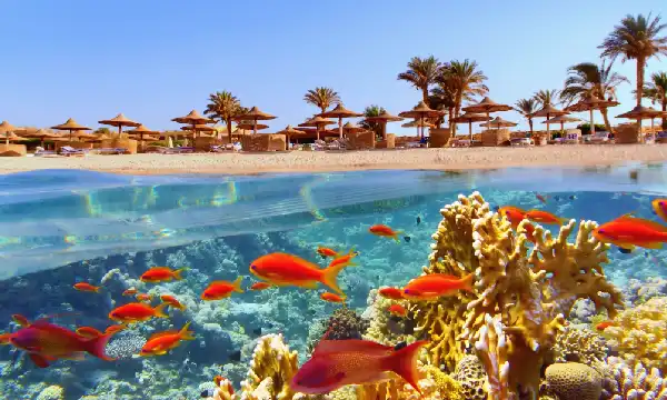 Red Sea luxury resort infinity pool at golden hour
