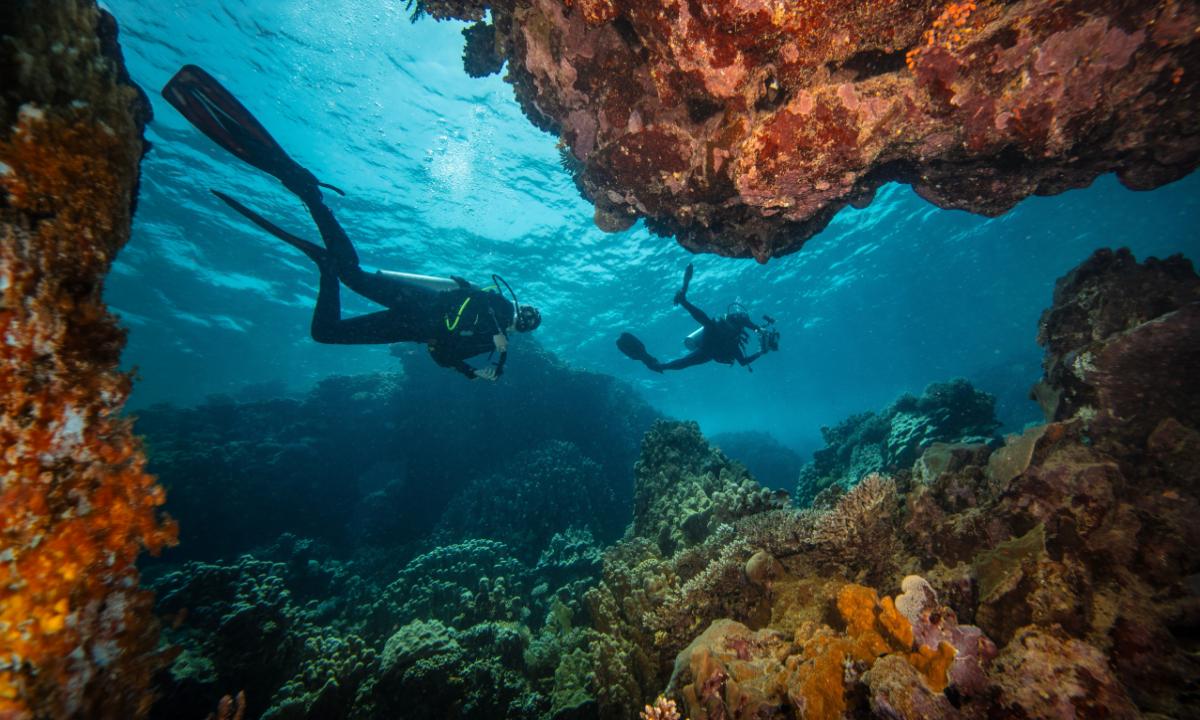 Diving into the Red Sea: A Guide to Egypt’s Underwater Paradise