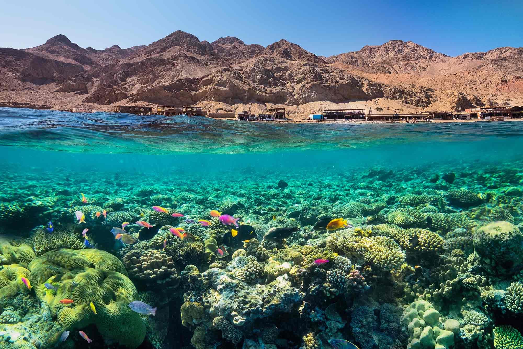The Red Sea’s Gift: A Journey Through Egypt’s Coastal Wonders