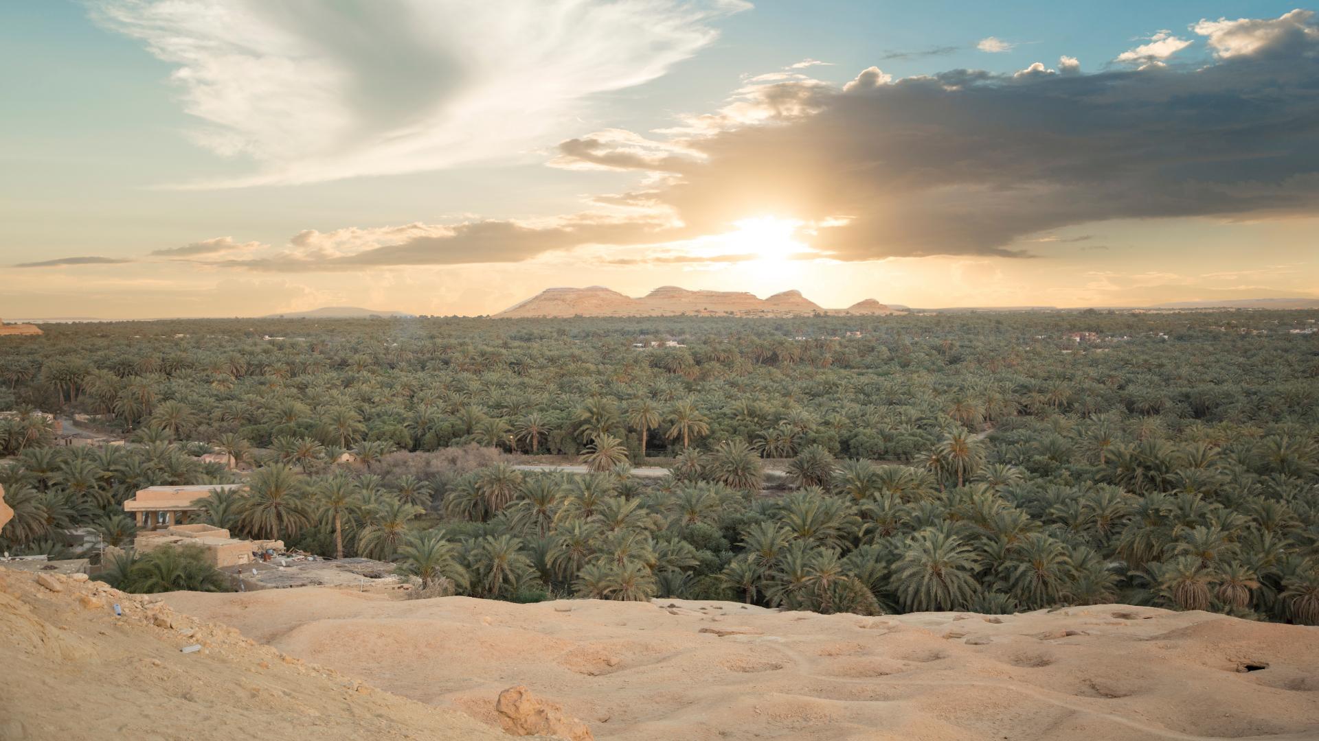 Siwa Oasis Winter Travel: Hot Springs & Desert Escapes